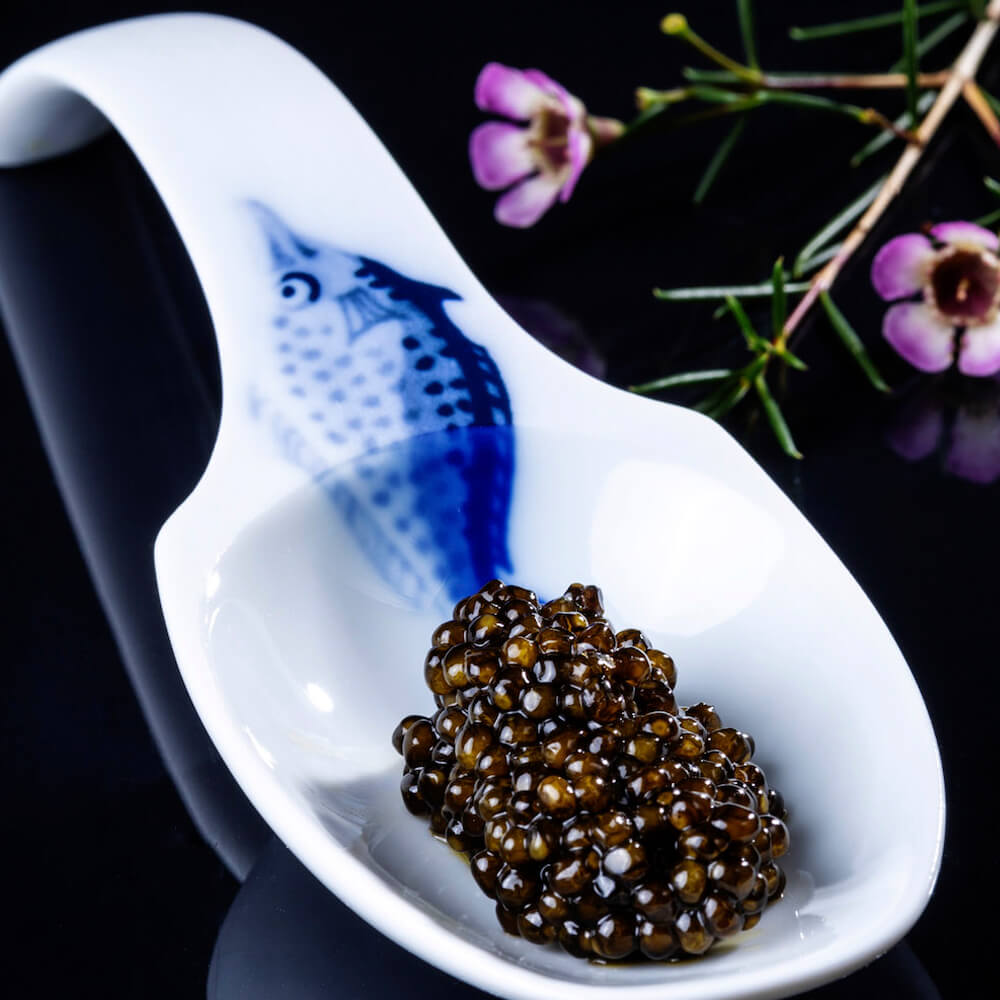 Caviar de esturión KALUGA, 100g