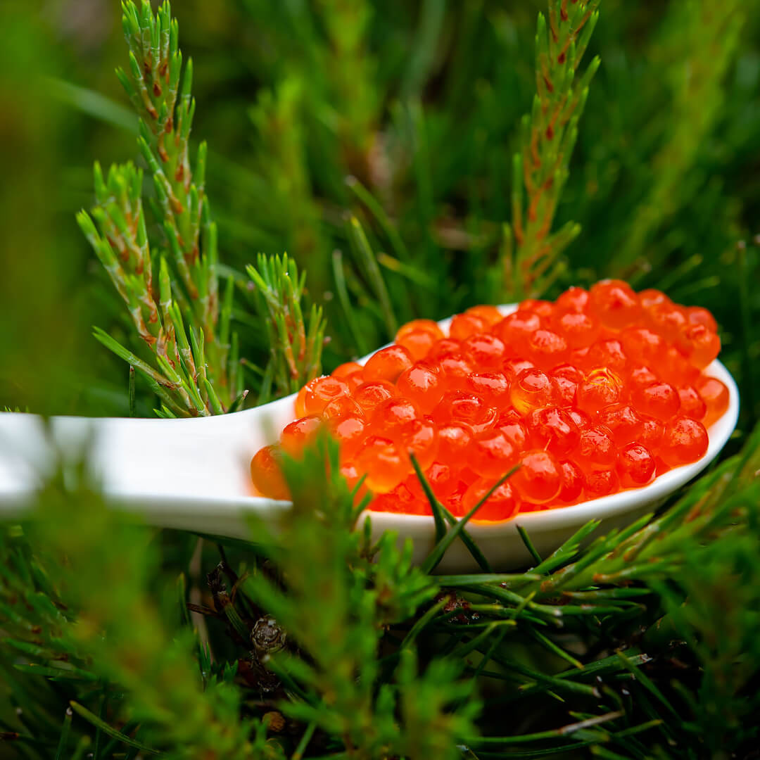 Caviar De Trucha Salmón, 250g