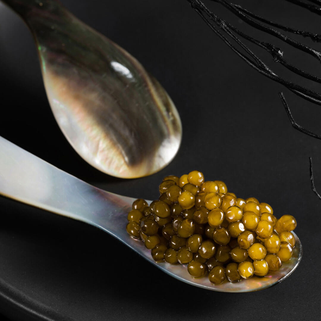 Caviar de esturión KALUGA, 50g