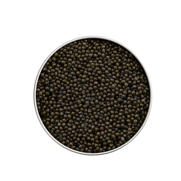 Caviar Osietra, 500g