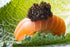 Caviar de Esturión Siberiano, 2 x 100g